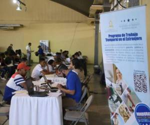Programa de Trabajo Temporal en el Extranjero (PTTE) ofrece buenas oportunidades para los hondureños.