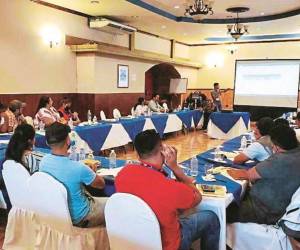 La SAG busca capacitar a unos 80 técnicos regionales para que posteriormente los conocimientos puedan replicarse en el campo.