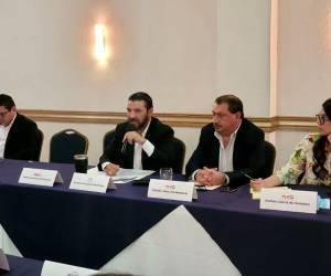 La Comisión de Asuntos Electorales del Congreso Nacional es liderada por Rasel Tomé.