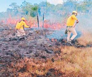 Las zonas más afectadas son casi las mismas de años anteriores: el Distrito Central y alrededores, Olancho y Yoro.