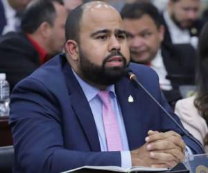 Rafael Sarmiento, diputado del partido Libertad y Refundación (Libre).