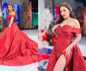 Con un escote en forma de corazón en el pecho, mangas cortas en los brazos, una coleta gigante y una abertura pronunciada en la pierna, así fue el vestido con el que Elsa Oseguera cautivó miradas durante esta Navidad.