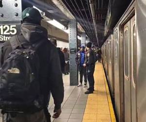 Varios agentes llegaron hasta el lugar del hecho.