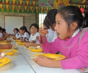 El Programa Nacional de Alimentación Escolar en Honduras busca proporcionar a niñas y niños matriculados en básica y pre-básica una ración diaria de alimentación nutritiva y complementaria.
