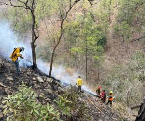 En la gráfica, se observa las cuadrillas del ICF junto al personal del C9 liquidando el incendio forestal que inició el sábado 6 de abril en la montaña Quiscamote de la aldea San Matías en el Distrito Central.