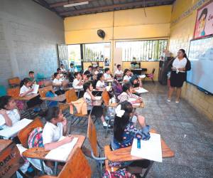 Escuelas continúan sin recibir libros de texto para los estudiantes.