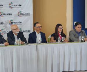 Además de referirse al anteproyecto que presentó la bancada de Libertad y Refundación, a través de la diputada Xiomara Castro, la Coalición Anticorrupción explicó el contenido básico que debe incluirse en el proceso de negociación entre Honduras y la ONU para traer la CICIH.