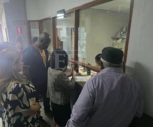 Entre los exdiputados que acudieron se encuentran Carlos Raudales, Osman Danilo Chávez, Juan Barahona, Karen Vanessa Martínez y la propia Silvia Ayala.