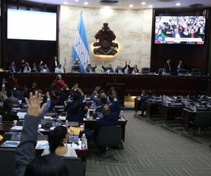 Gustavo Sánchez, titular de la Secretaría de Seguridad, llegó al hemiciclo a exponer que “los impuestos son muy elevados”.