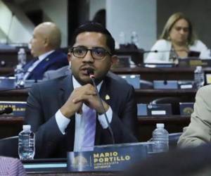 Mario Portillo, diputado del partido Libre.