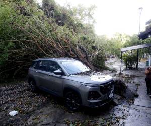 Así lucen las ciudades tras el azote de Lidia.