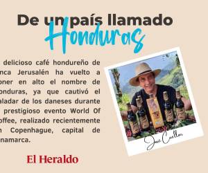Café hondureño sorprende en Dinamarca: “fue catalogado como el mejor café del mundo”