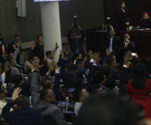 Ante el rechazo de sectores económicos, productivos y de los diputados del CN, Libre deberá buscar consensos con diferentes sectores, además del apoyo de 15 parlamentarios más dentro de la cámara legislativa, ya que cuenta con solamente 50 votos a favor de la ley.