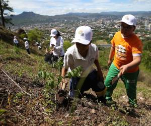 Los escolares participaron activamente en jornadas de reforestación realizada por Fundación Terra.