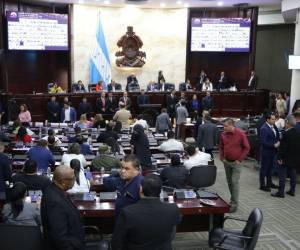 El Poder Legislativo se rehúsa a construir un nuevo marco jurídico que rija el empleo temporal o parcial.