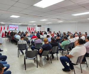 En el Partido Liberal se está analizando una posible alianza electoral con Libre, al menos así fue reconocido por un grupo de alcaldes que se reunieron con Manuel Zelaya.