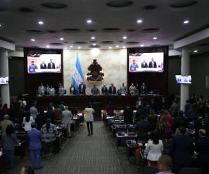 Desde la oposición, diputados aseguran que extensión del plazo lleva intenciones ocultas del oficialismo de Libertad y Refundación para cometer nuevas ilegalidades.