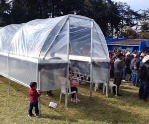 Alrededor de 400 personas se beneficiarán con secadoras solares e insumos para mejorar cosechas de café.