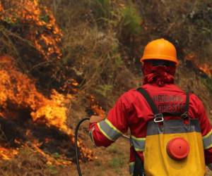 Hasta el 1 de abril, 11,321 incendios se reportaron desde 2017 hasta 2024.