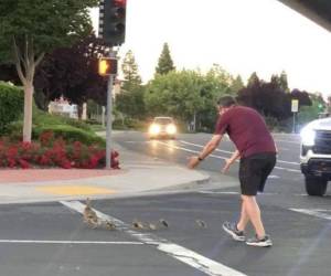 La última foto en vida de Caey Rivara ayudando a los patos a cruzar la calle.