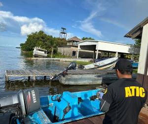 Mayorga Vásquez fue arrestado el 29 de septiembre de 2023 como parte de la Operación “Los Halcones”, que también involucró a Bonilla en actividades relacionadas con el tráfico de drogas agravado y posesión ilegal de armas de fuego.