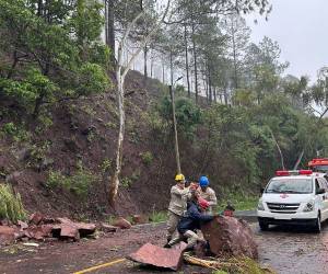 Derrumbe en carretera a Valle de Ángeles; no se reportan daños ni heridos