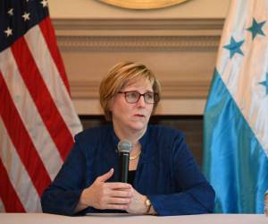 La embajadora de EUA en Honduras, instó al gobierno a proteger a los inversionistas.