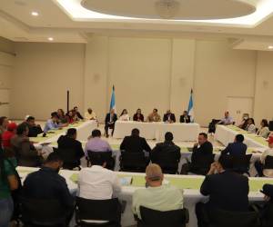 Encabezados por el asesor presidencial Manuel Zelaya, los diputados de Libre expresaron su compromiso por apoyar la nómina de candidatos para que mañana ya se conozca quiénes serán los nuevos magistrados de la CSJ.