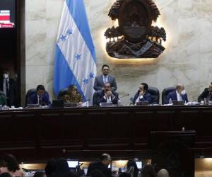 Fotografía tomada en el Congreso Nacional de Honduras.