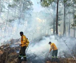 Los cuerpos de socorro trabajaban ayer en labores de sofocación del fuego en la zona boscosa de La Libertad.