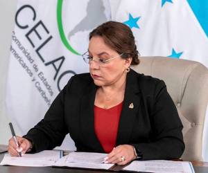 Aunque no se han revelado detalles específicos debido al hermetismo en torno al evento, se transmitió parcialmente por un canal suramericano de televisión.