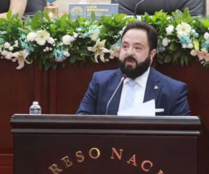 Redondo solicitó la renuncia de la candidata a designada presidencial por el Partido Nacional, Diana Waleska Herrera, tras la publicación de imágenes de su hijo.