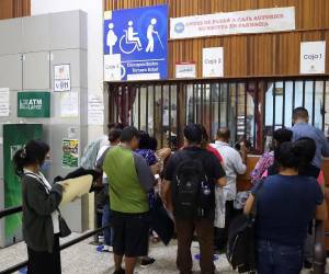 A los nueve meses del año se registra brote de cuatro enfermedades, una de ellas zoonóticas y las otras tres prevenibles por vacunación.