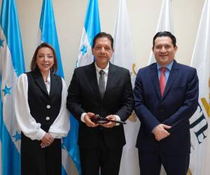 Reclamos a nivel de alcaldías encabezan los recursos presentados ante el TJE, en su mayor parte por el Partido Liberal.