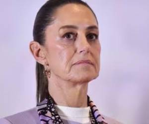 Claudia Sheinbaum fue alcaldesa de la capital mexicana.