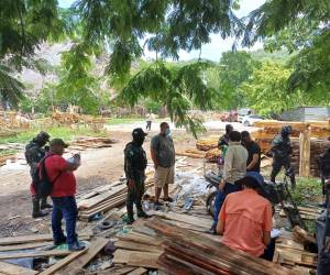 Efectivos de la Policía Militar y del ICF realizan operativos en varios lugares donde comercian con la madera caoba.
