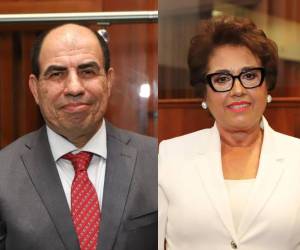 Previo a la sesión de este viernes en el Congreso Nacional para elegir a la Corte Suprema de Justicia, las principales fuerzas políticas ya habrían negociado el número y nombre de candidatos por los que votarán. A continuación el listado completo.