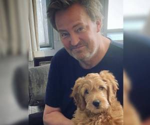 Matthew incluso le creó una cuenta de Instagram a su perrito llamado Alfred, la cual ya no existe.