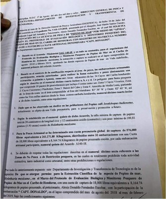 Sustraen informes para favorecer a barcos pepineros