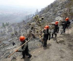 Militares, bomberos y otros grupos de apoyo lograron controlar el siniestro en el bosque de la capital.