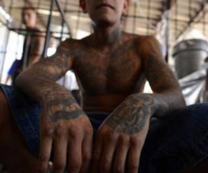 El Salvador: 300 pandilleros fueron acusados de fraguar un boicot al transporte público.