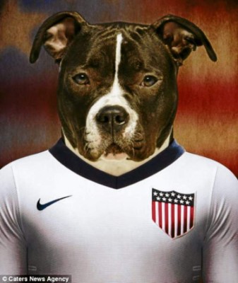 El mundial se pone de 'perros”