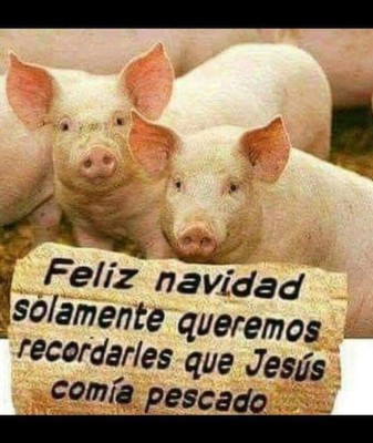 Los mejores chistes de la semana