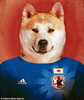 El mundial se pone de 'perros”