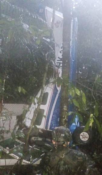 Las desgarradoras pistas que indican que niños perdidos en la selva sobrevivieron al accidente de avioneta ¿Dónde están?