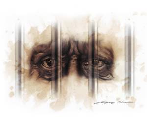 Selección de Grandes Crímenes: En carne propia