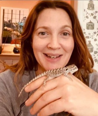 Drew Barrymore, la pelirroja 'Ángel de Charlie', con su cara lavada