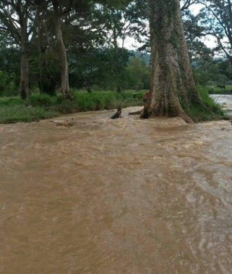 Danlí reporta primera víctima mortal por lluvias