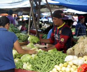 Varios productos alimenticios disminuyeron de precio durante el mes de mayo, contrarrestando las alzas de los combustibles, afirma el BCH en su informe mensual de precios al consumidor.