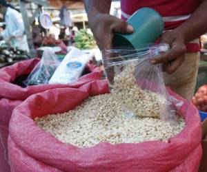 El maíz en grano es usado para la elaboración de tortillas y para la preparación de otros comestibles.